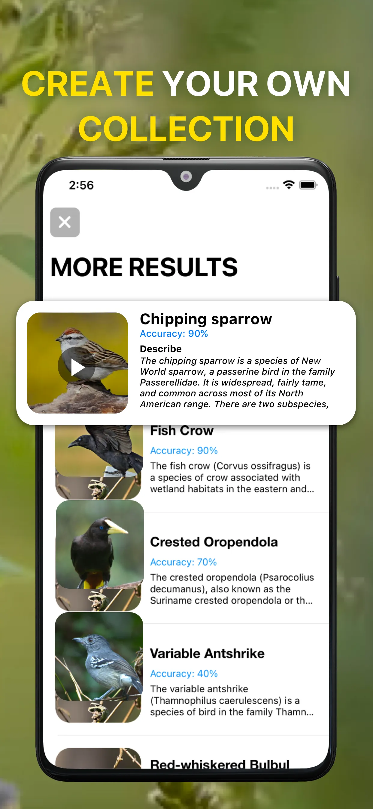 Bird Sound Identifier Bird ID | Indus Appstore | Screenshot