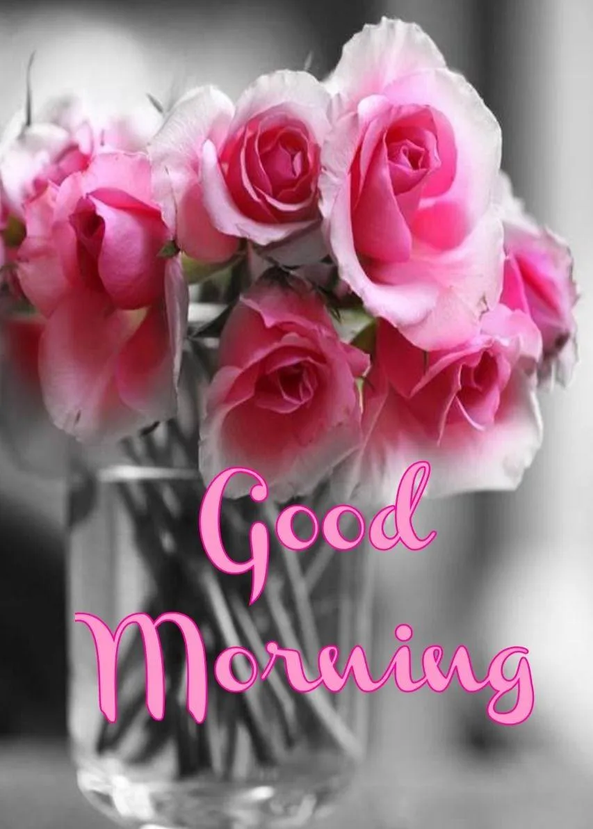 Good Morning Flowers | Indus Appstore | Screenshot