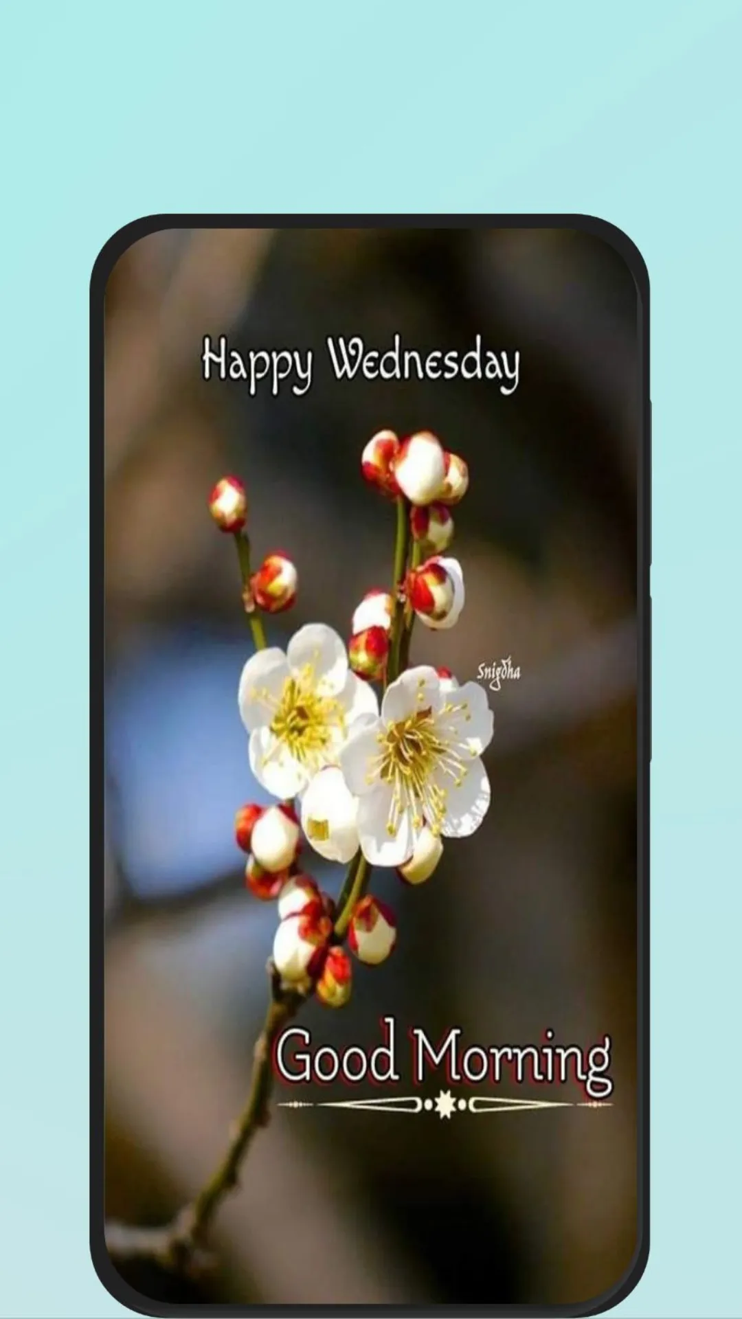 happy wednesday images | Indus Appstore | Screenshot