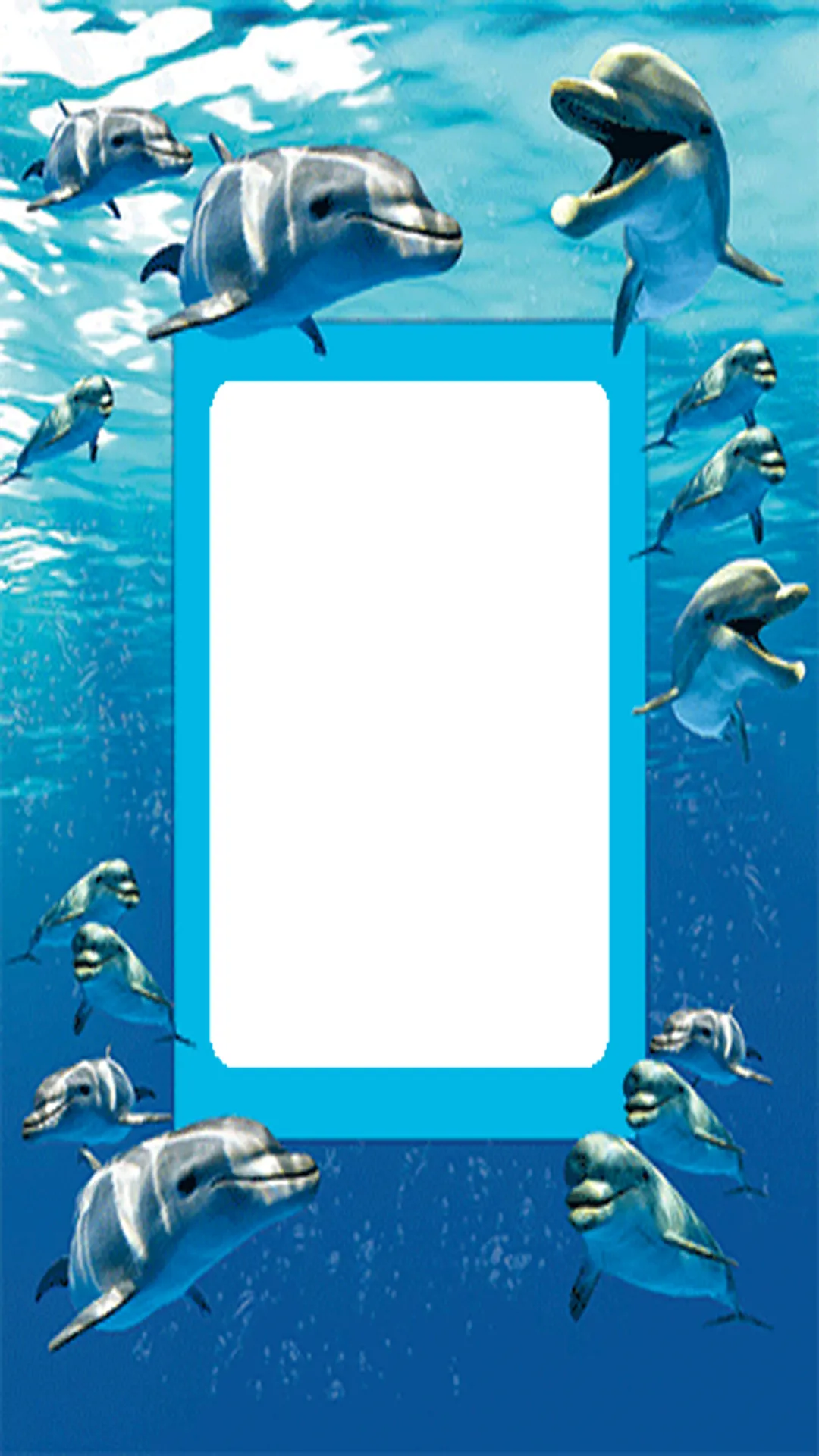 Dolphin photos Frames | Indus Appstore | Screenshot