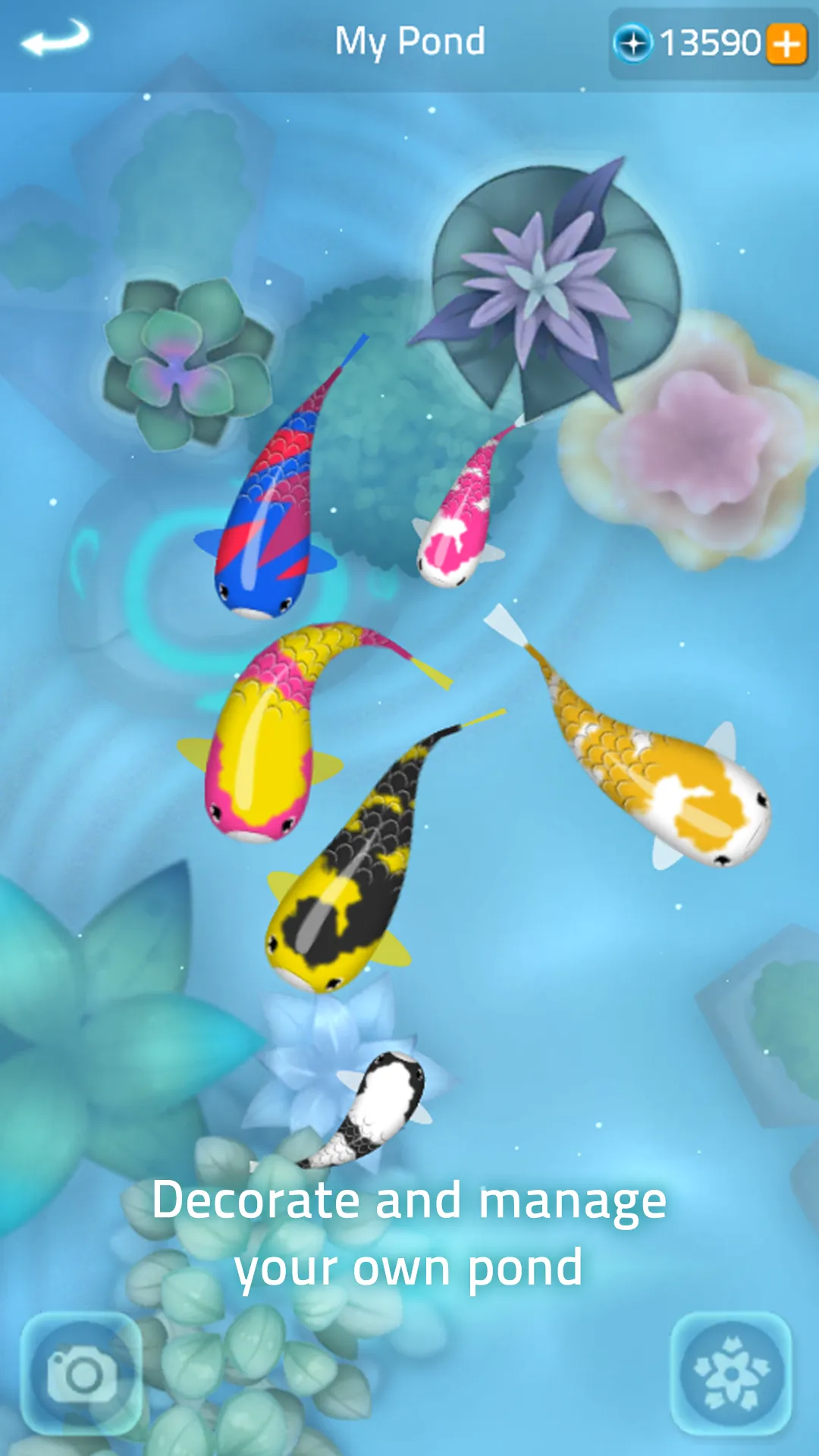 Zen Koi 2 | Indus Appstore | Screenshot