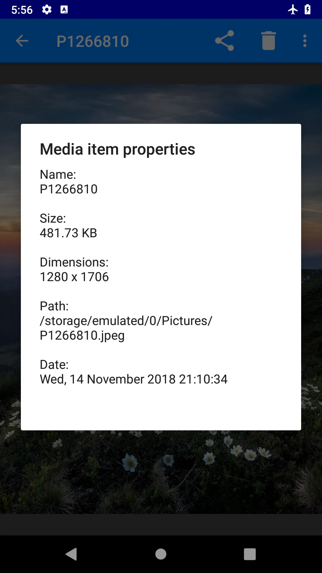 Simple Gallery - Privacy | Indus Appstore | Screenshot