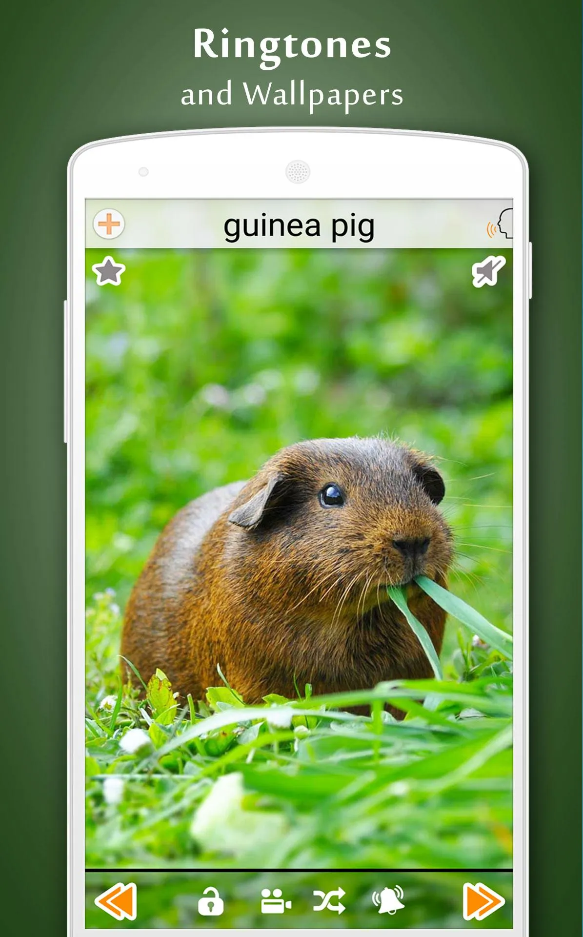 Animal Sounds | Indus Appstore | Screenshot