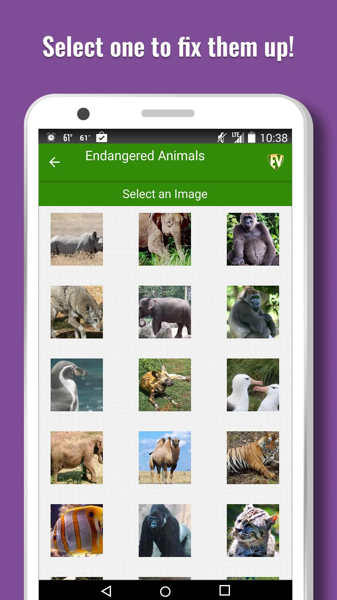 Endangered Animals Offline App | Indus Appstore | Screenshot