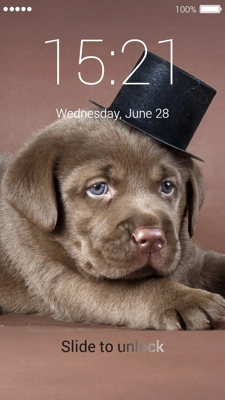 Cute Puppy Lock Screen | Indus Appstore | Screenshot