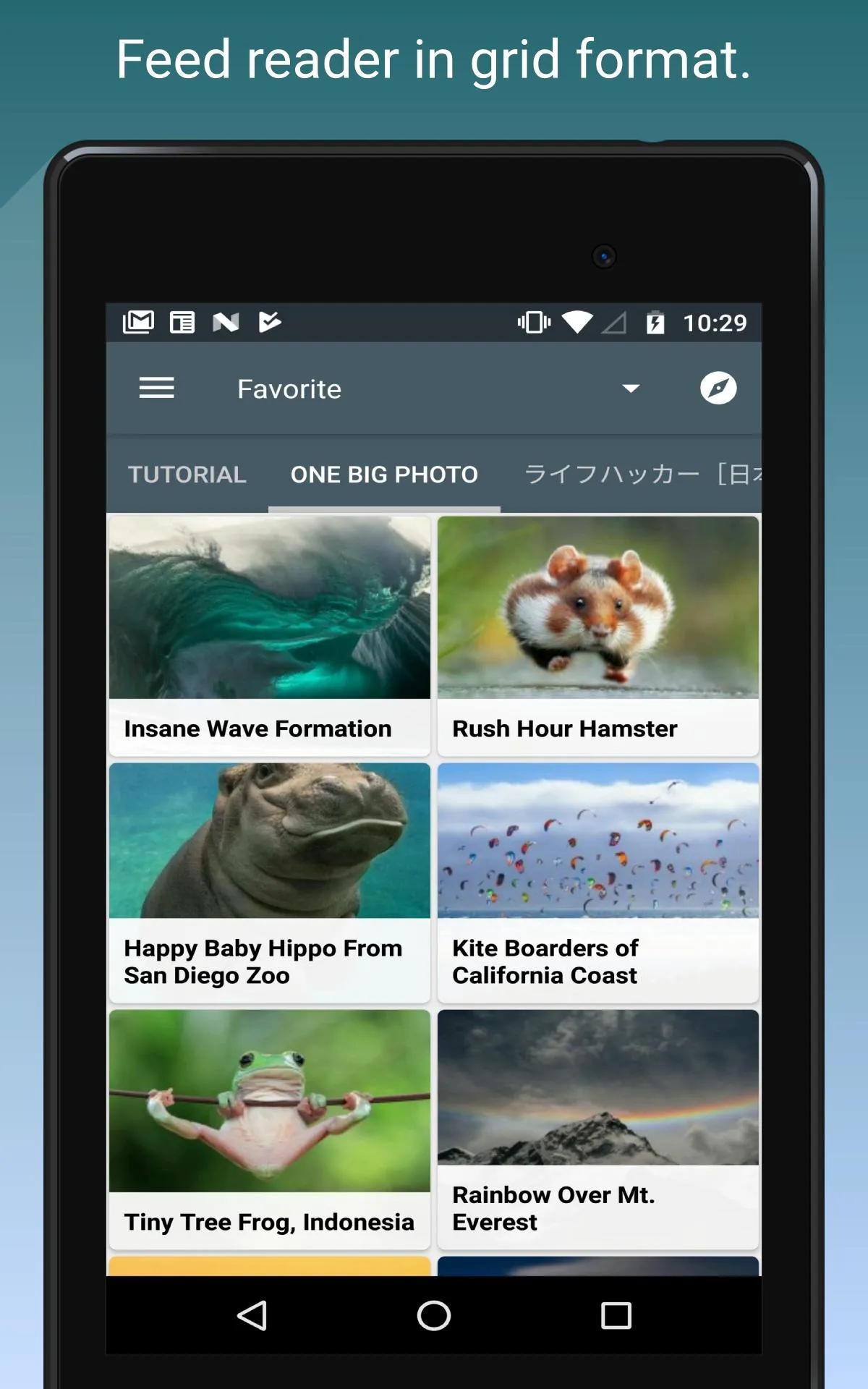 Feed Go - Universal RSS Reader | Indus Appstore | Screenshot