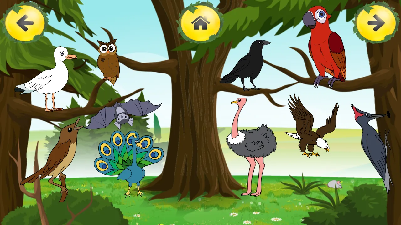 Animal Sounds Learn-Find Game | Indus Appstore | Screenshot