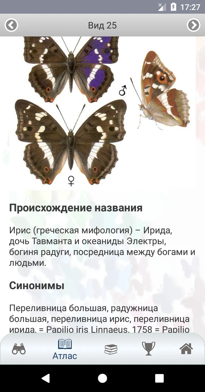 EcoGuide: Russian Butterflies | Indus Appstore | Screenshot