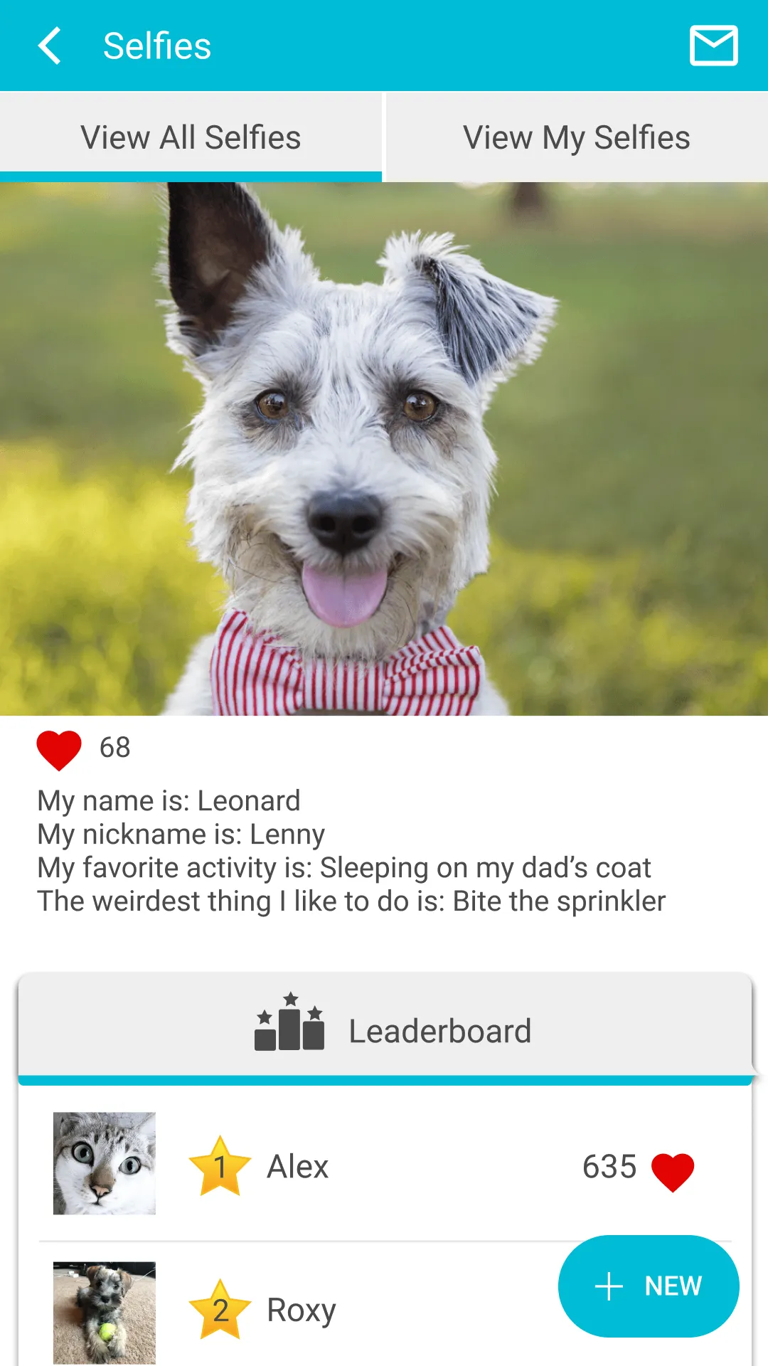 NCAC Vet | Indus Appstore | Screenshot