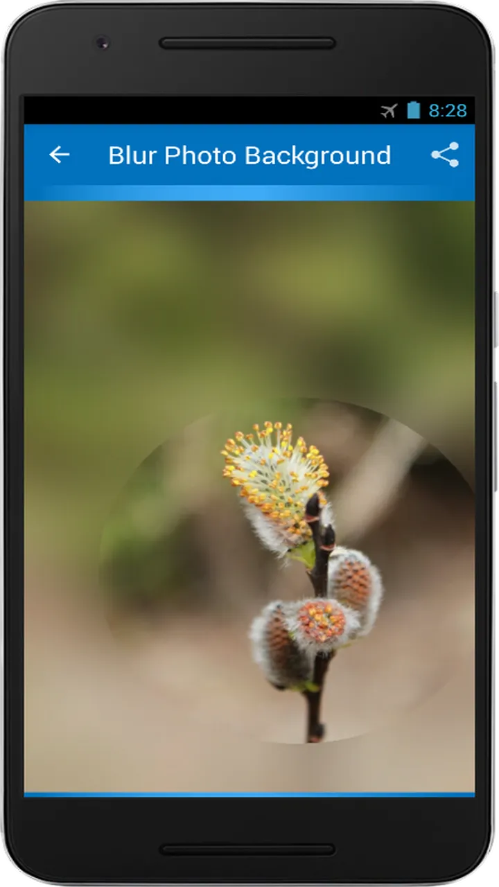 Blur Photo Background | Indus Appstore | Screenshot