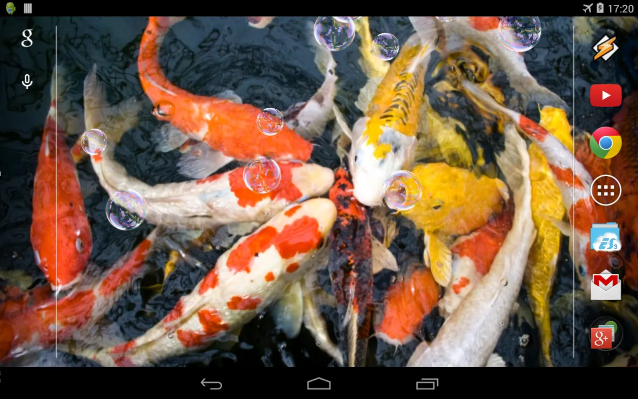 Koi Live Wallpaper | Indus Appstore | Screenshot