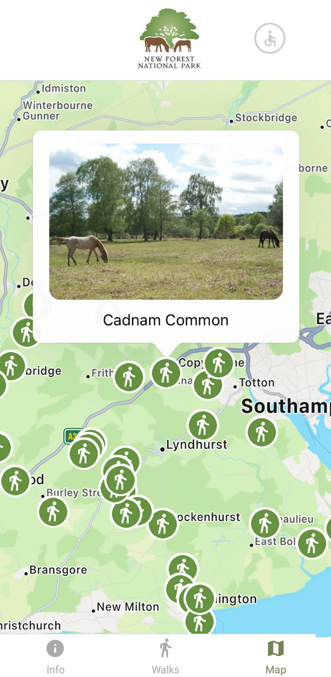 New Forest National Park Walks | Indus Appstore | Screenshot