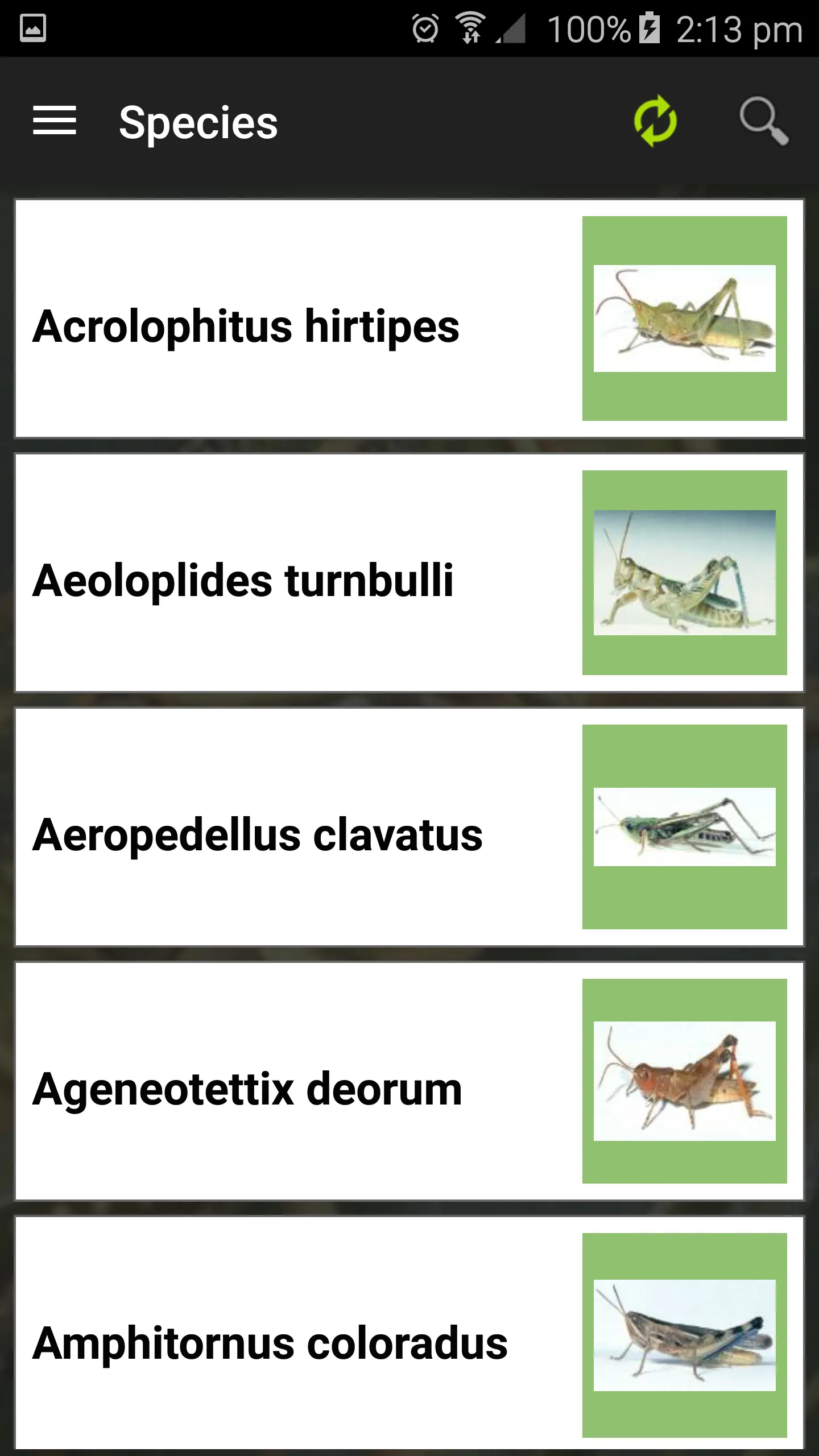 Grasshoppers of the Western US | Indus Appstore | Screenshot