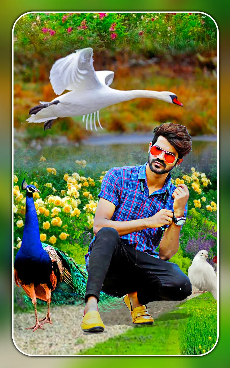 Bird photo editor and frames | Indus Appstore | Screenshot