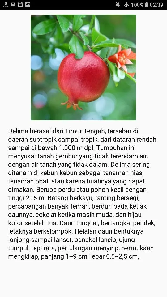 Obat Herbal 1001 Penyakit | Indus Appstore | Screenshot