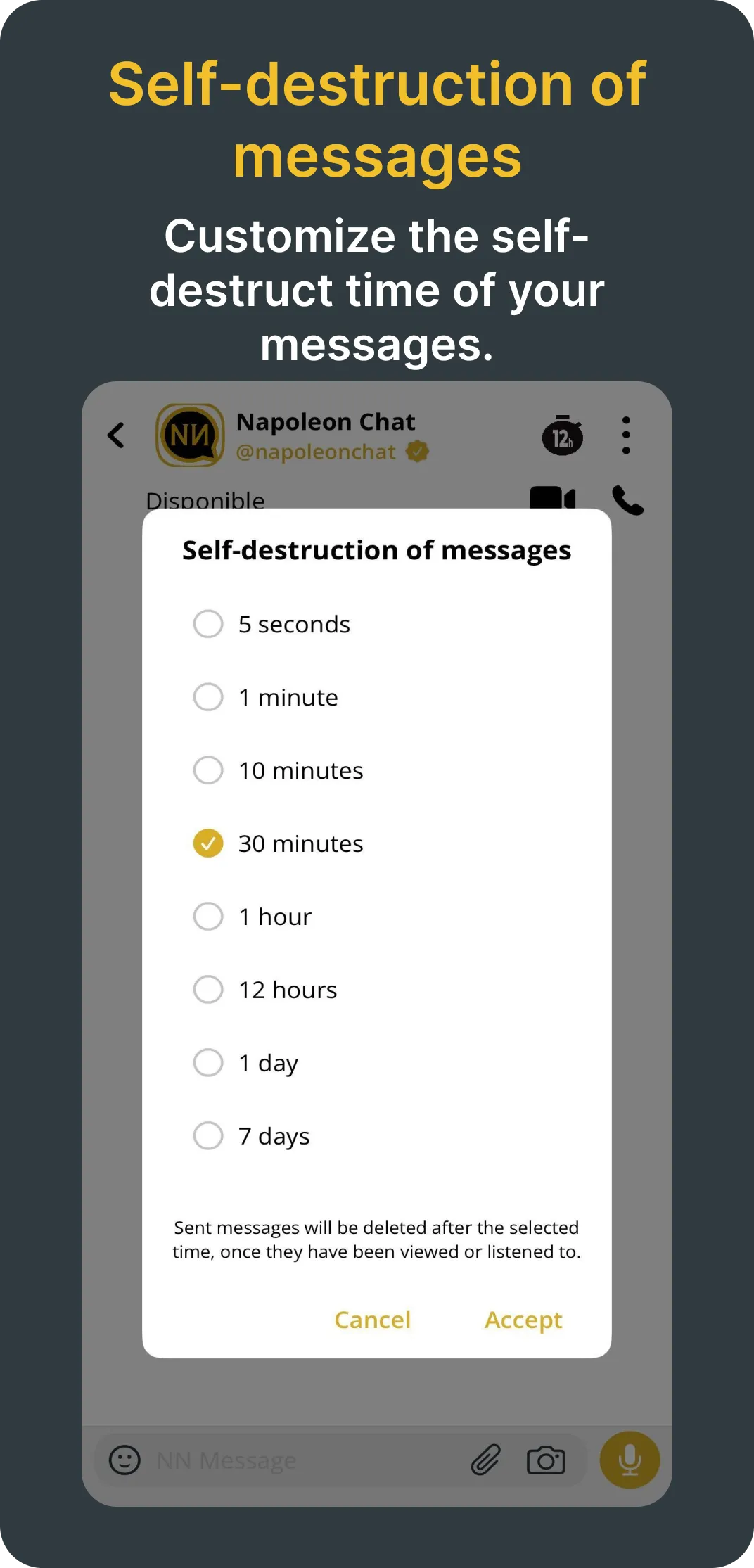 NapoleoN Chat | Indus Appstore | Screenshot