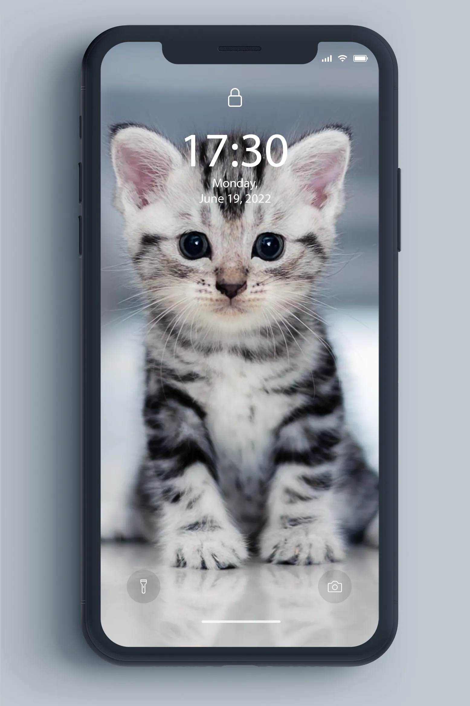 Kitten Wallpaper | Indus Appstore | Screenshot