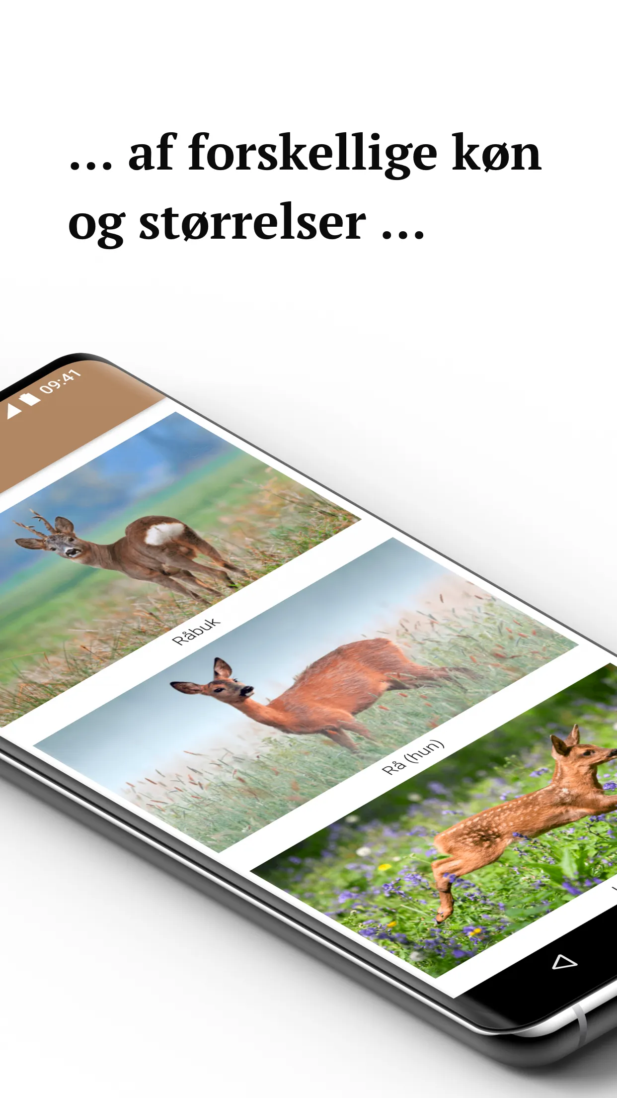 Jægerappen - Alle arterne i ja | Indus Appstore | Screenshot