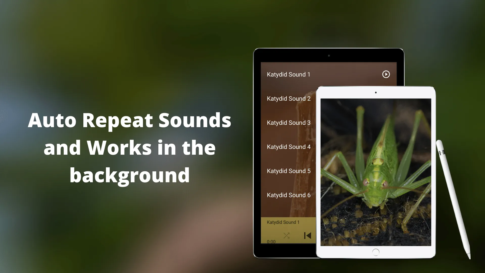 Katydid Sounds | Indus Appstore | Screenshot