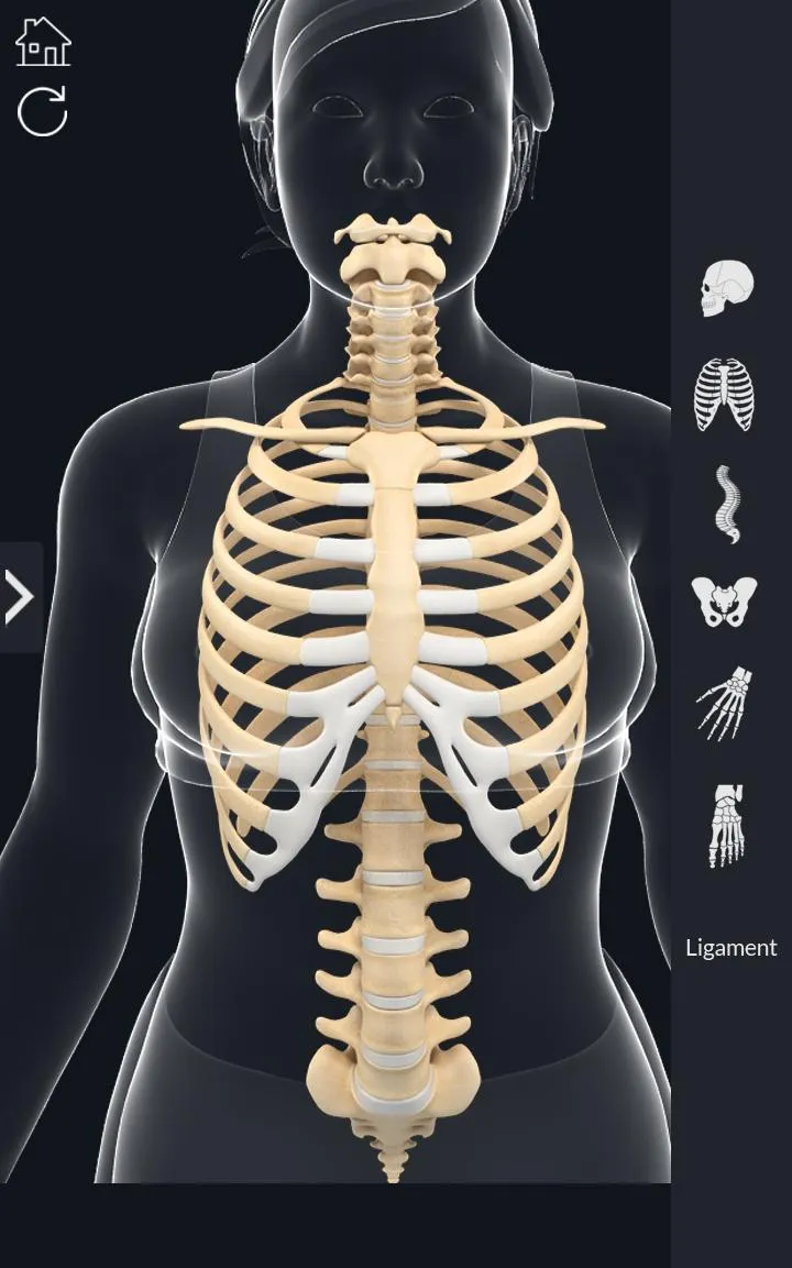 My Skeleton Anatomy | Indus Appstore | Screenshot