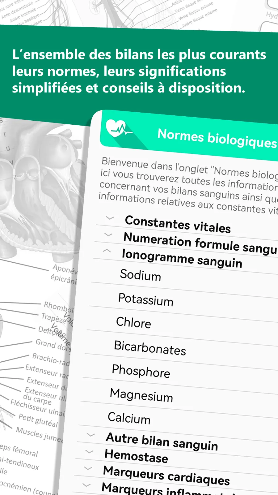 MemoIDE | Indus Appstore | Screenshot