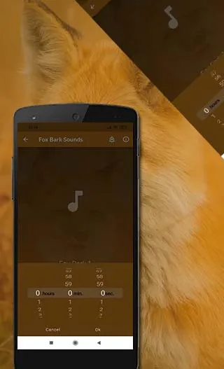 Fox Sounds | Indus Appstore | Screenshot