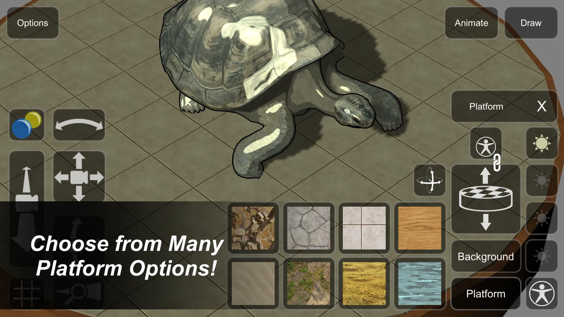 Tortoise Mannequin | Indus Appstore | Screenshot