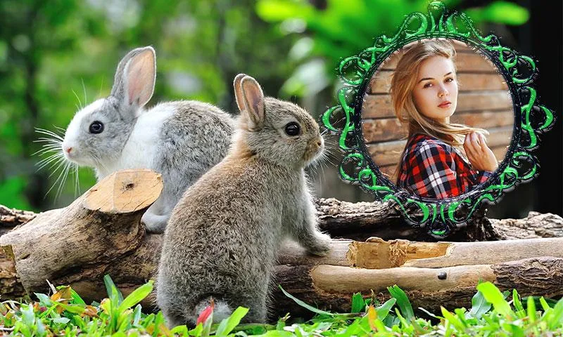 Rabbit Photo Frames | Indus Appstore | Screenshot