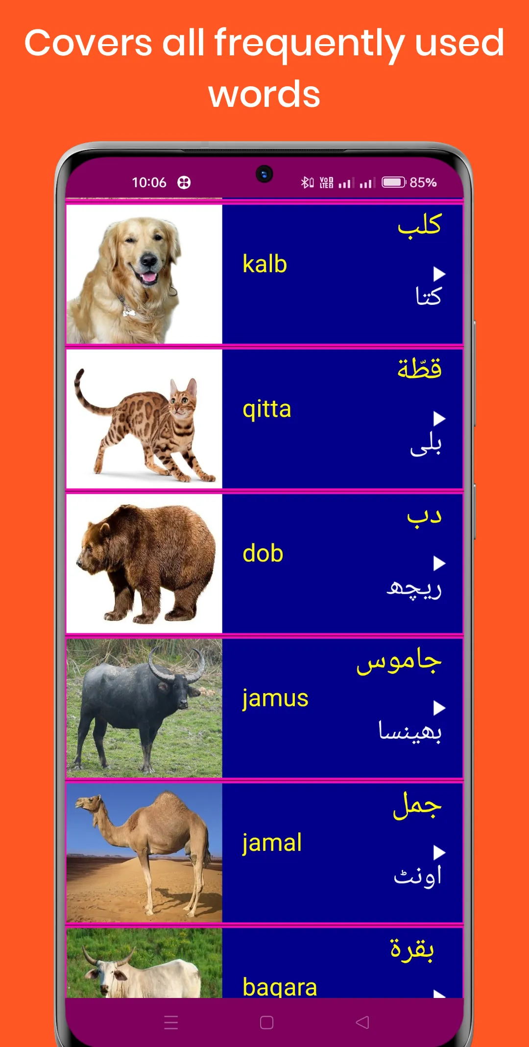 Learn Arabic From Urdu | Indus Appstore | Screenshot