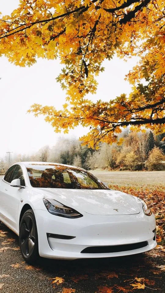 Tesla Wallpapers, Modals | Indus Appstore | Screenshot