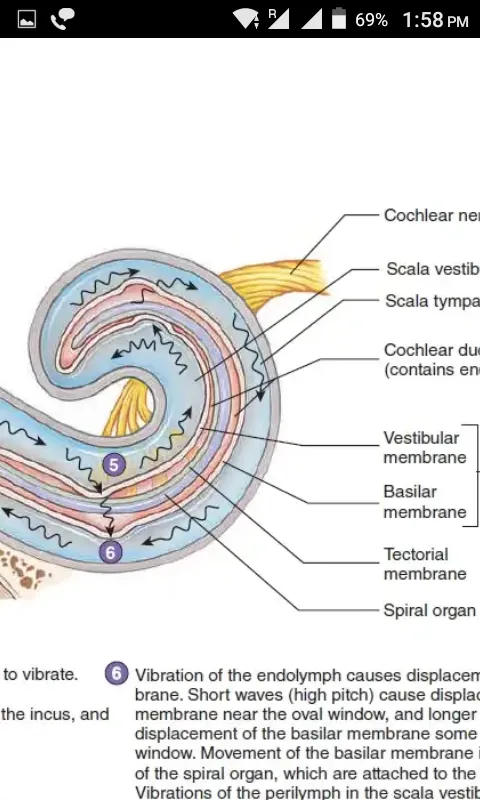 Nursing Study Notes | Indus Appstore | Screenshot