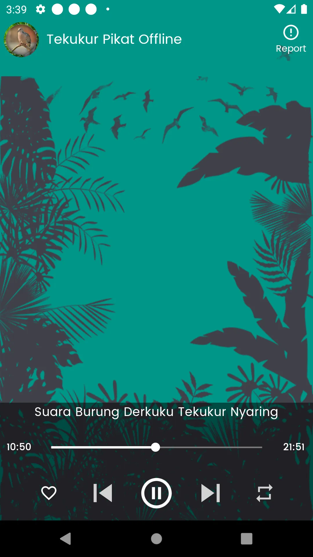 Suara Burung Tekukur Pikat | Indus Appstore | Screenshot