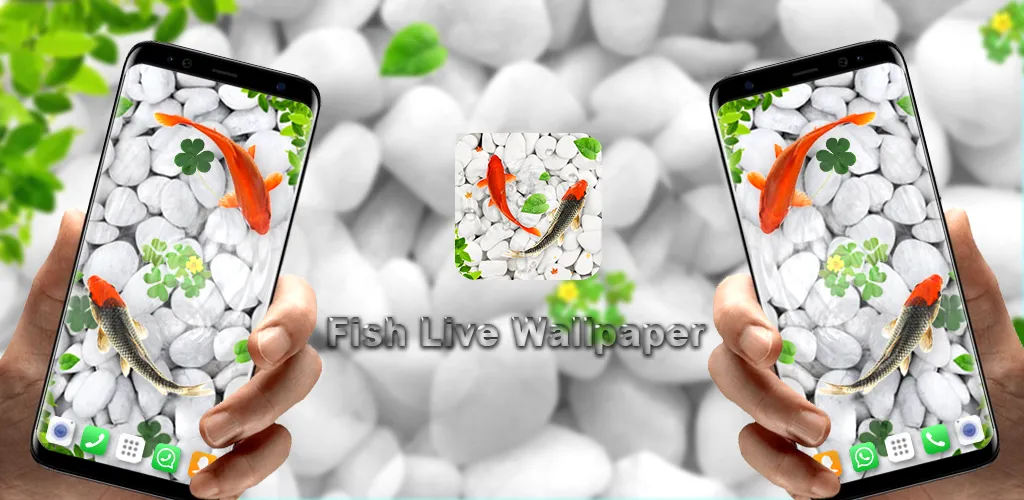 Koi Fish Live Wallpapers HD | Indus Appstore | Screenshot