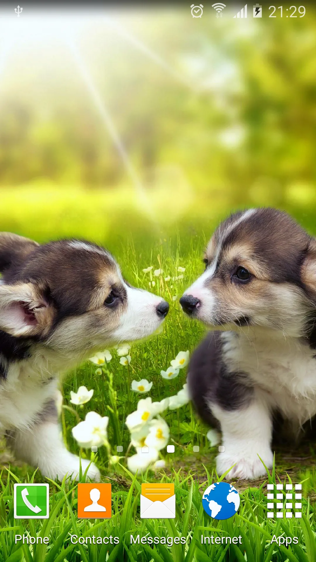 Cute Puppies Live Wallpaper | Indus Appstore | Screenshot