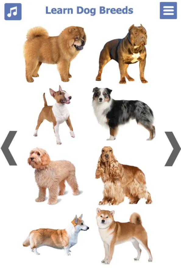 Dog Breeds | Golden Retriever  | Indus Appstore | Screenshot