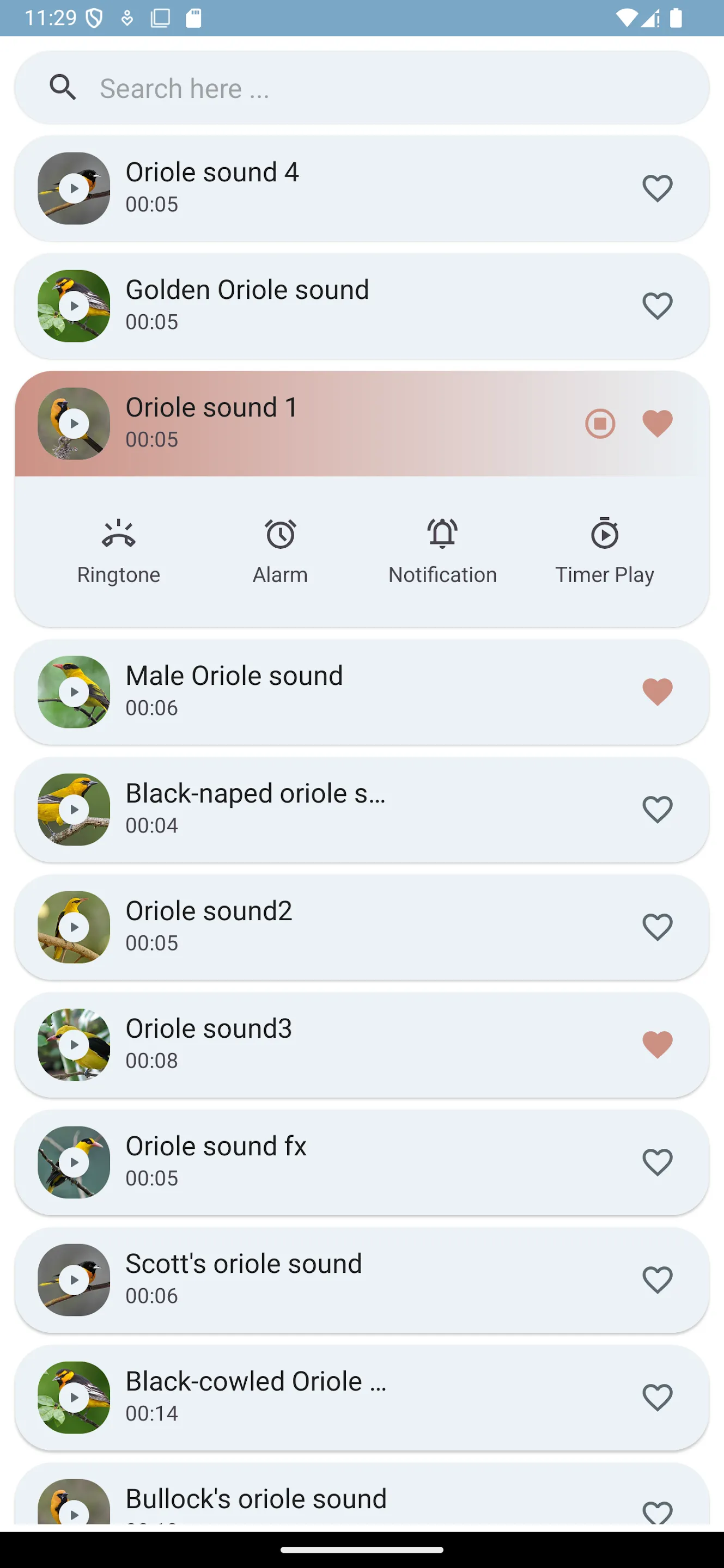 Oriole bird sounds | Indus Appstore | Screenshot