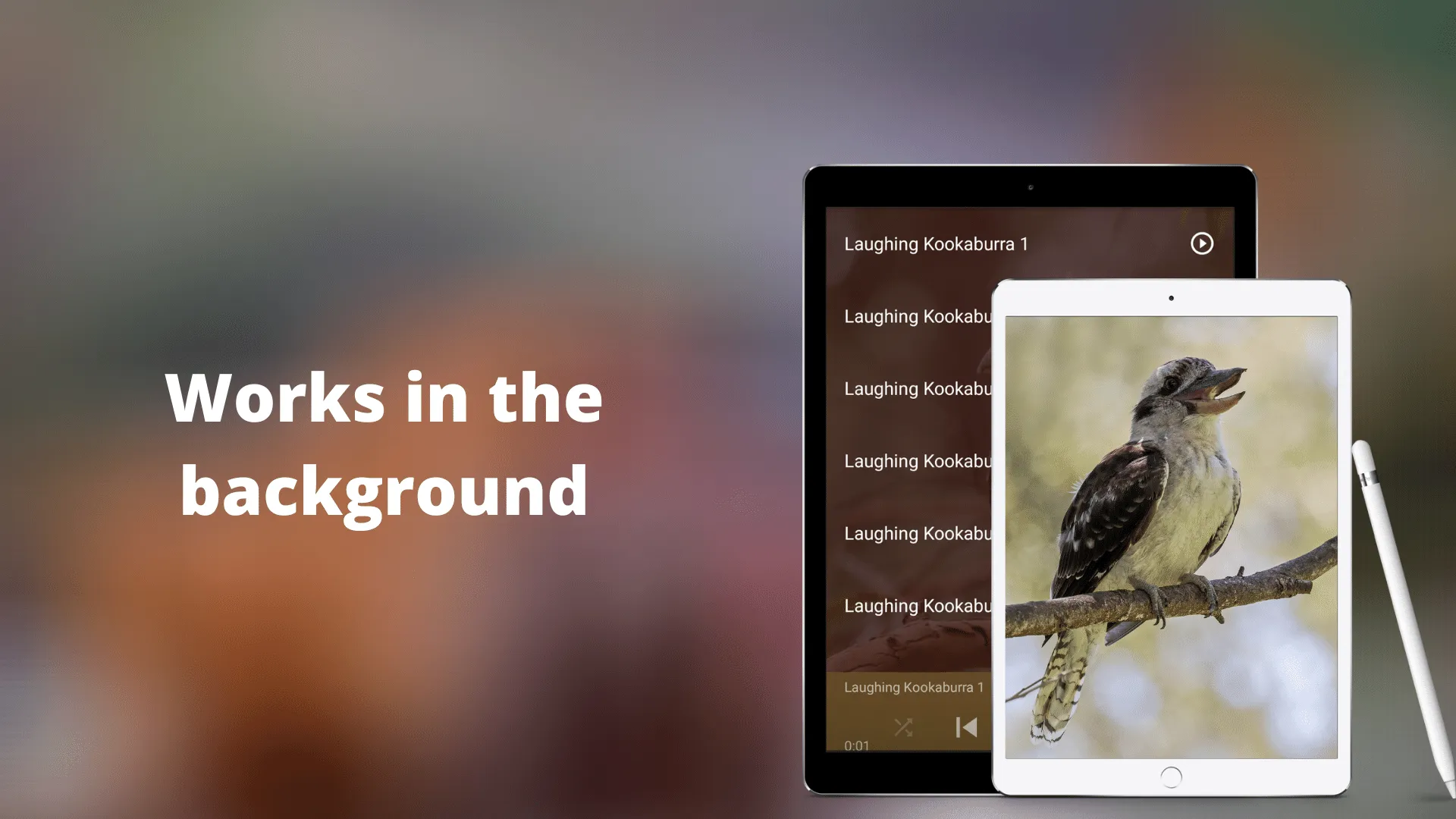 Laughing Kookaburra Sounds | Indus Appstore | Screenshot