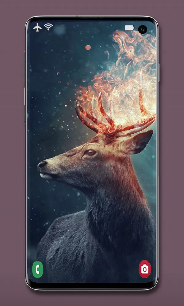 Animal Wallpapers | Indus Appstore | Screenshot