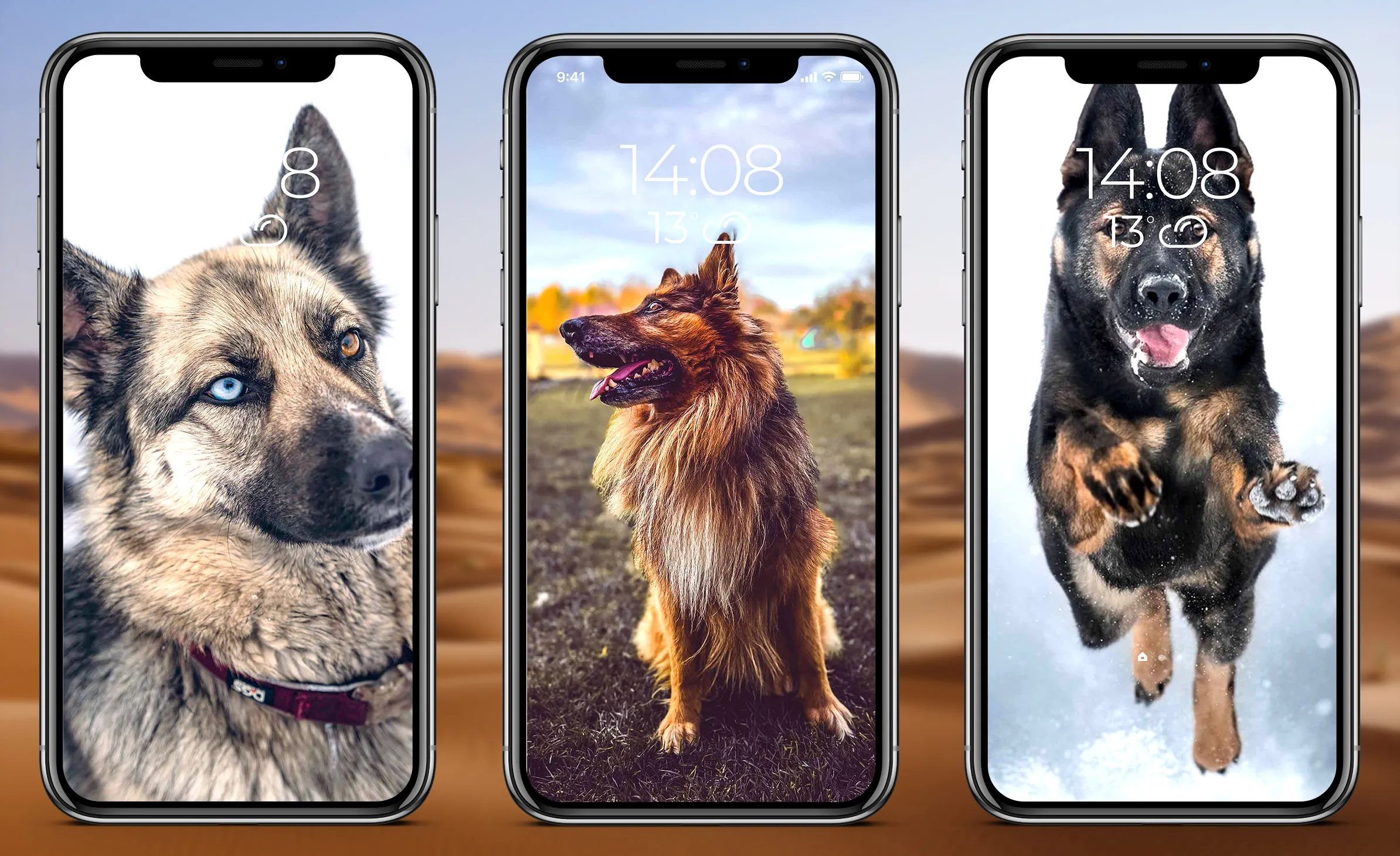 German Shepherd Wallpaper | Indus Appstore | Screenshot