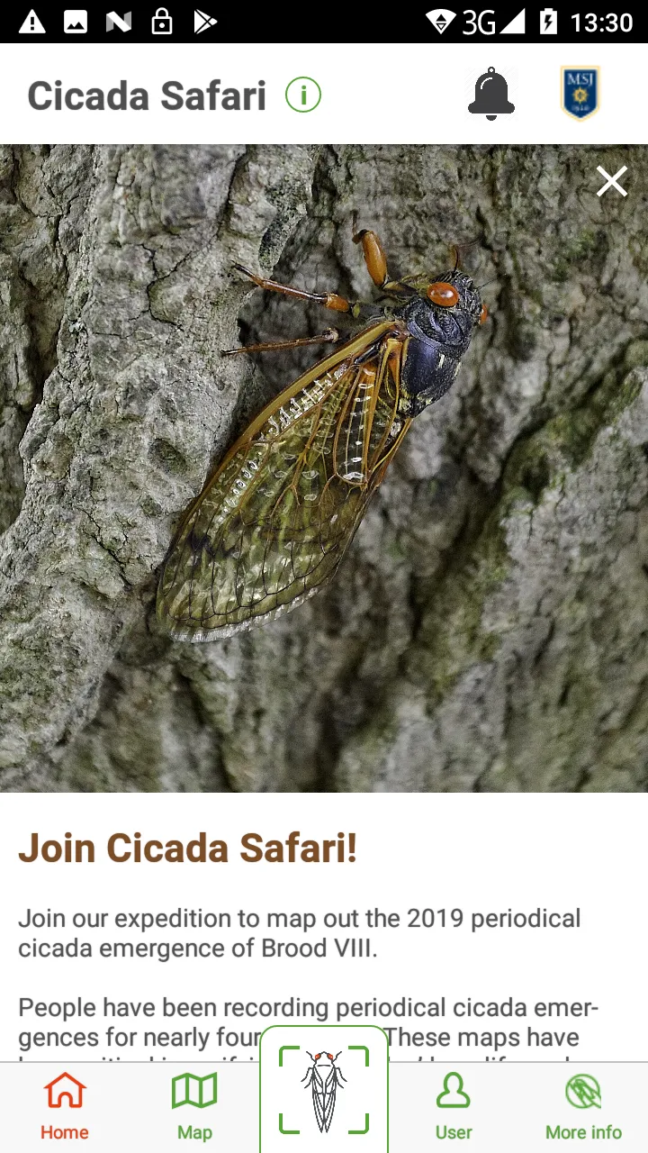 Cicada Safari | Indus Appstore | Screenshot