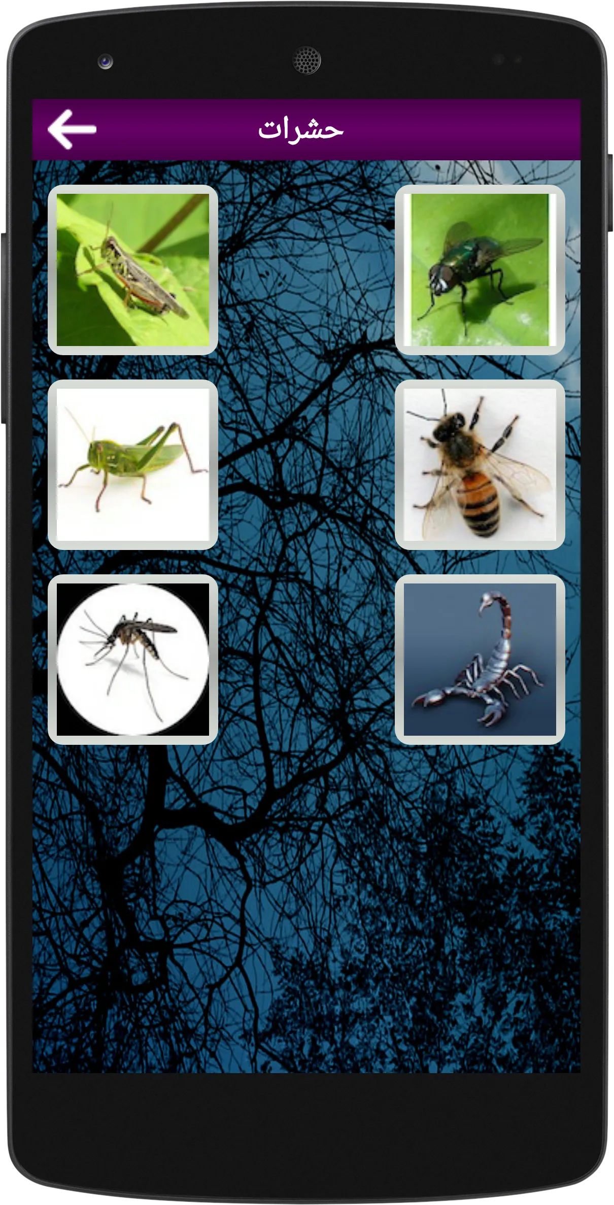 All Animal Sounds Ringtones | Indus Appstore | Screenshot