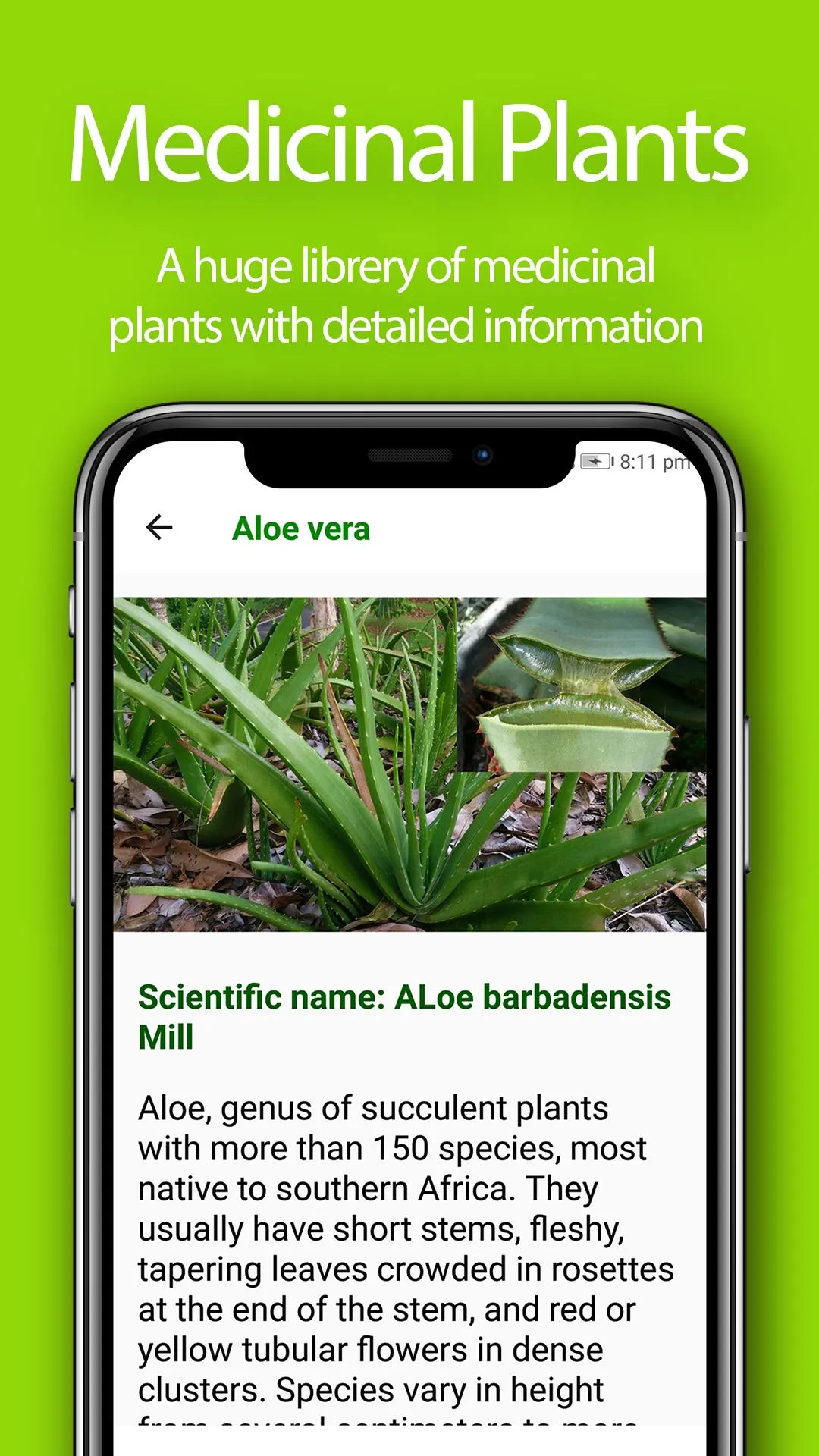 Herbal Home Remedies and Natur | Indus Appstore | Screenshot