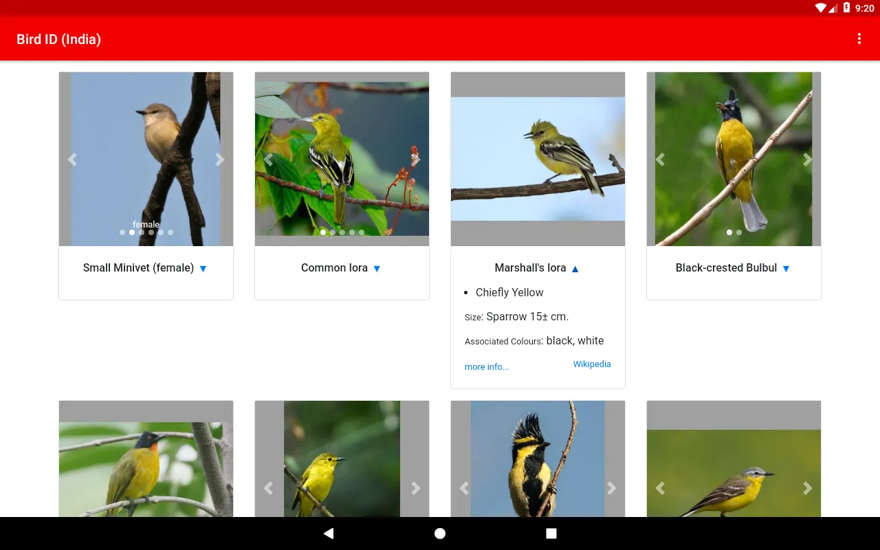 Bird ID (India) | Indus Appstore | Screenshot