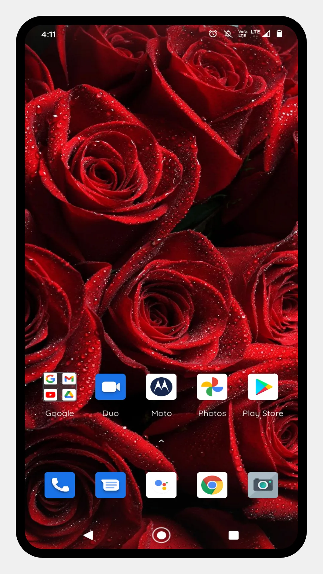 Red Rose HD Wallpapers | Indus Appstore | Screenshot