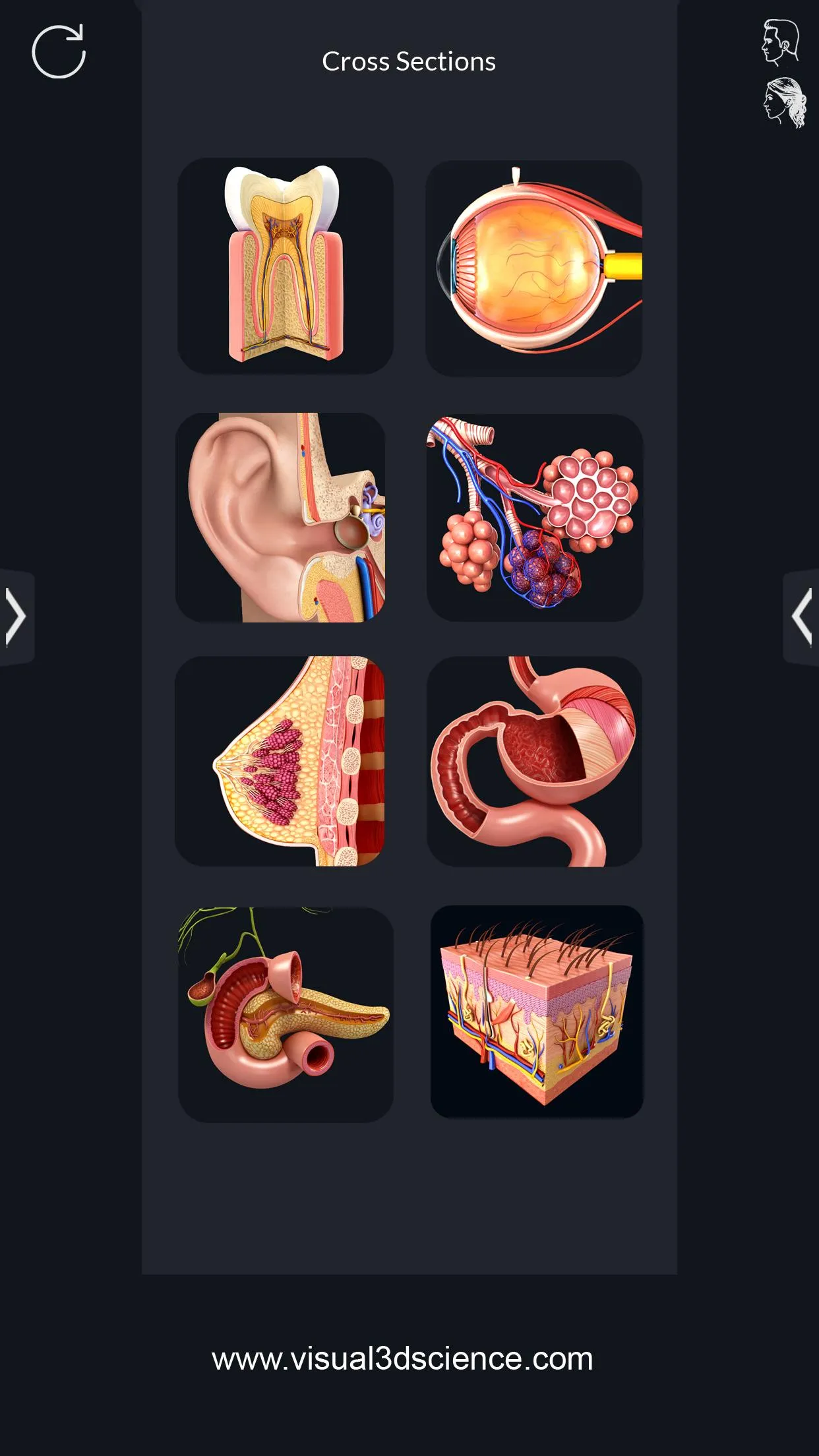 Human Anatomy | Indus Appstore | Screenshot