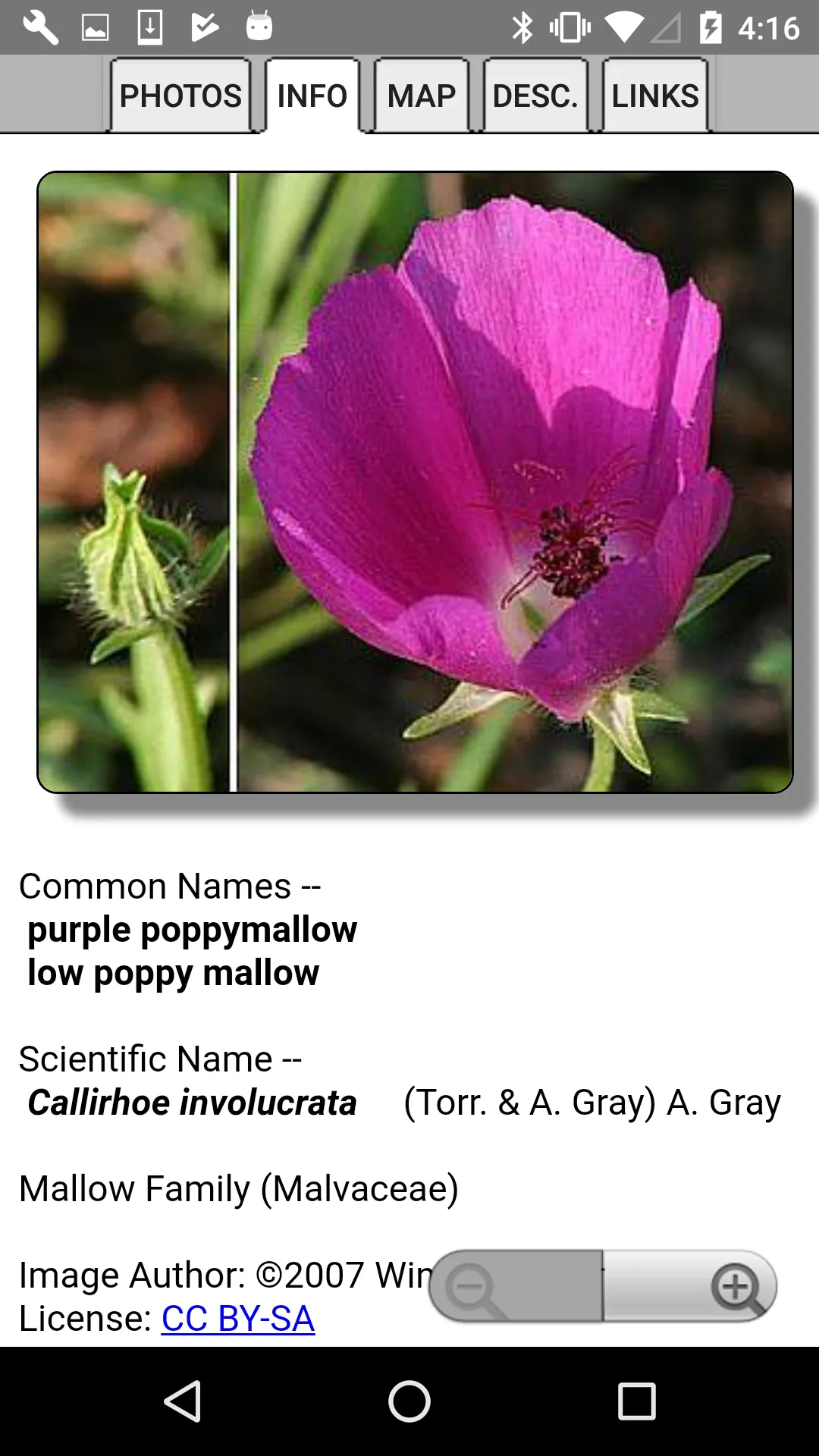 Nebraska Wildflowers | Indus Appstore | Screenshot