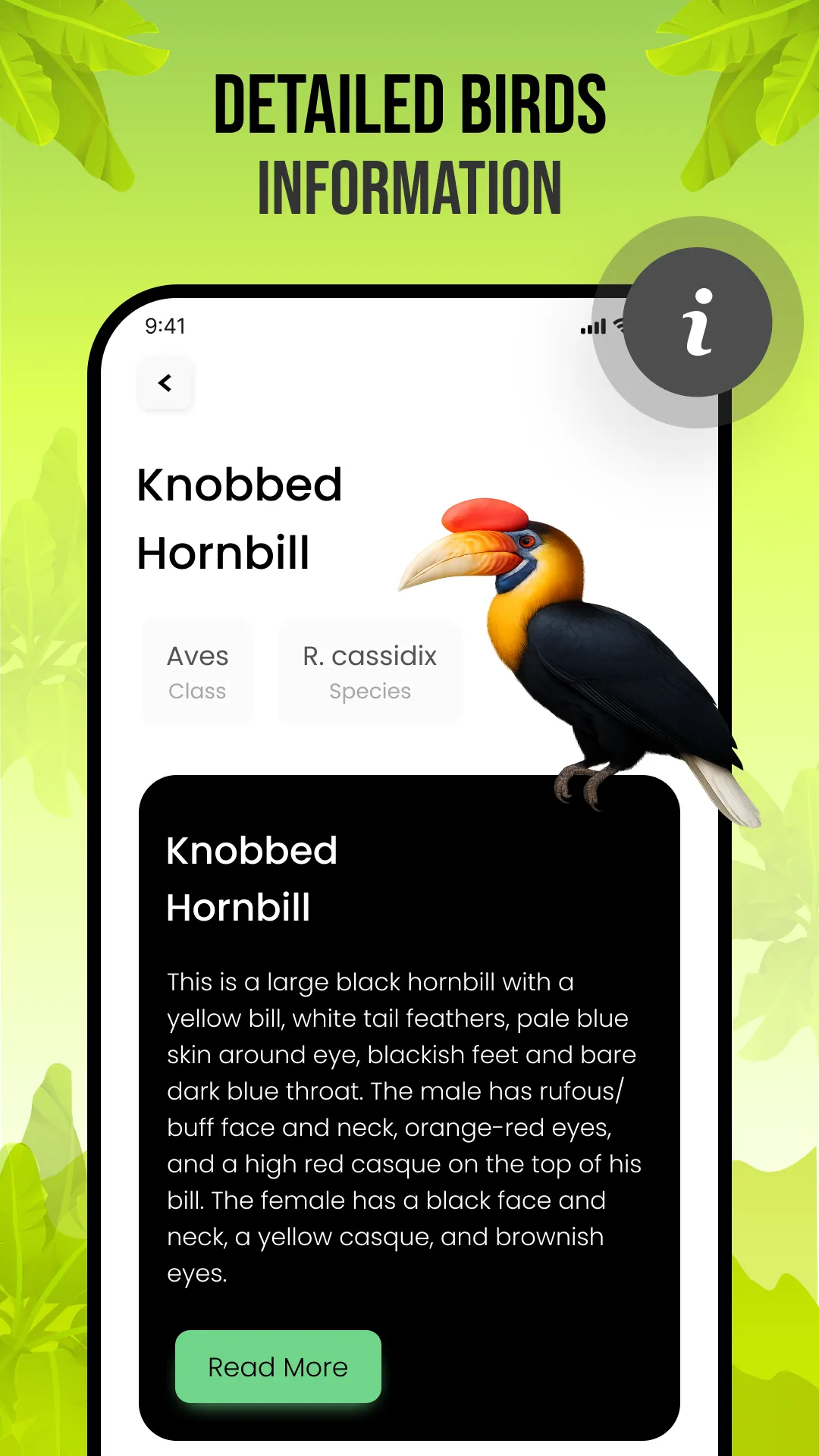 Birds Sounds | Indus Appstore | Screenshot