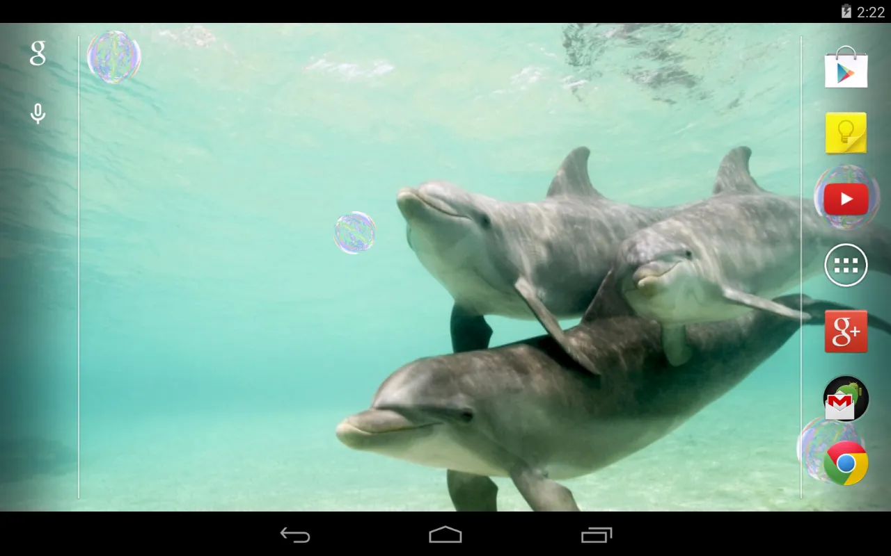 Dolphins Live Wallpaper | Indus Appstore | Screenshot