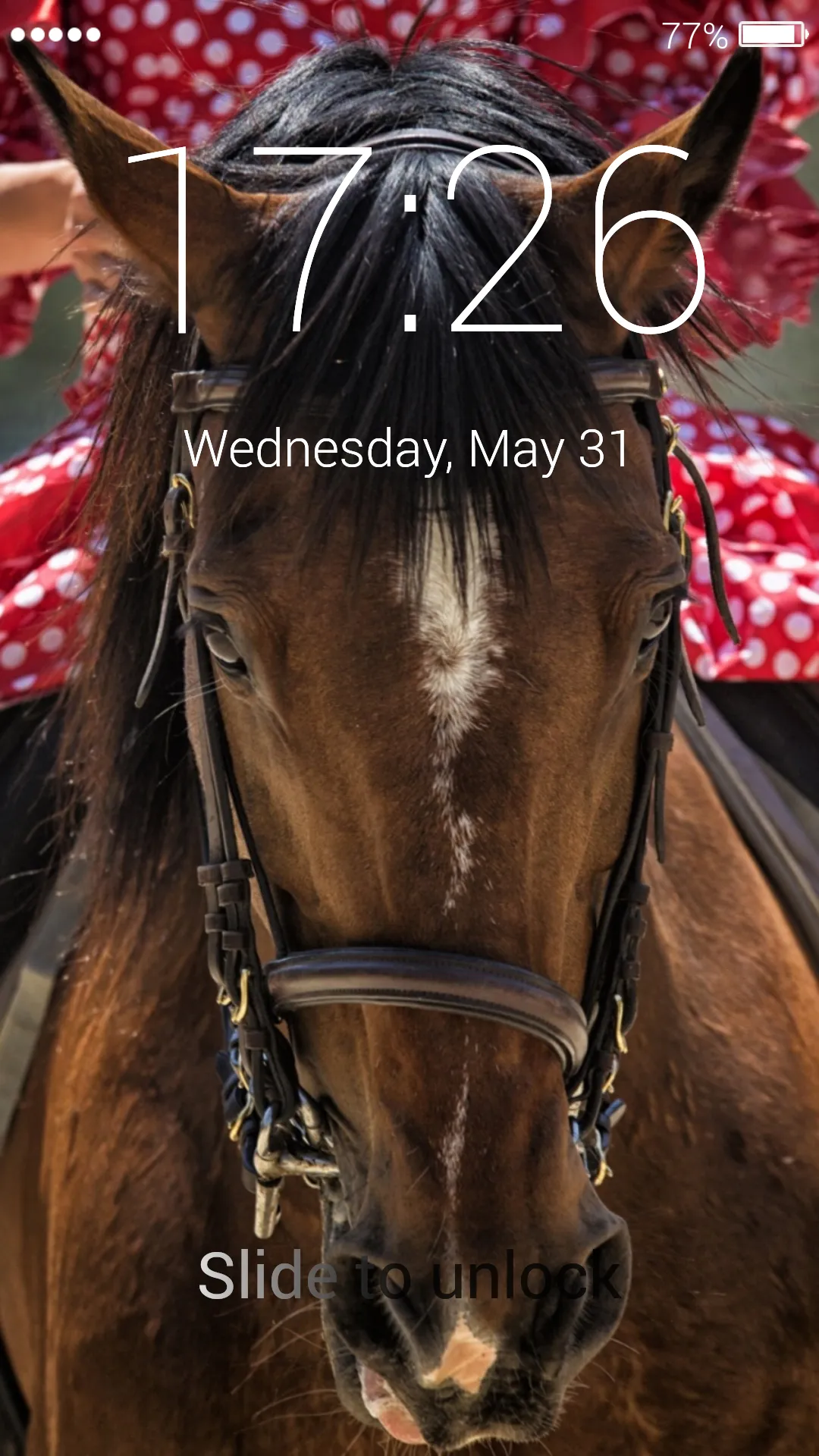 Horses Lock Screen | Indus Appstore | Screenshot