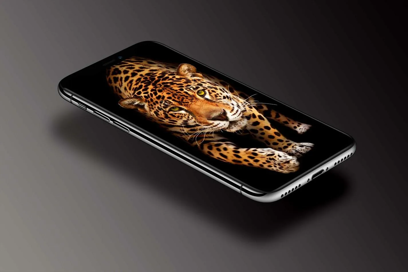 Leopard Wallpaper | Indus Appstore | Screenshot